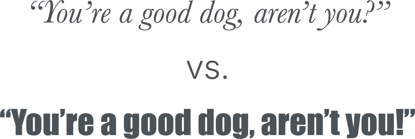 type-callout Meme-style graphic with the phrase 'You're a good dog, aren't you?' in cursive at the top, a 'VS.' in the middle, and the same phrase in bold at the bottom.